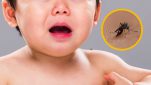niños-mueren-a-causa-de-dengue-990×661-990×557